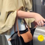 Passe Navigo sur iPhone : ce que vous risquez en cas de contrôle avec une batterie vide