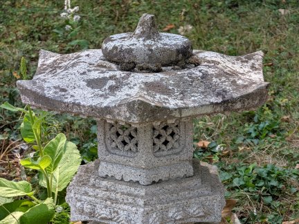 Pixel 11 - 5x (6)