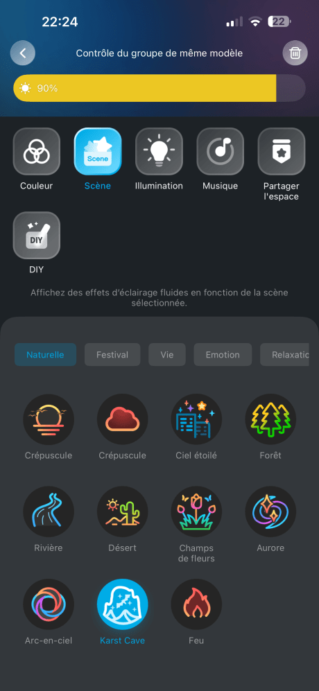 Les scènes prédéfinies sur l'application Govee Home. // Source : Noémie Koskas pour Frandroid