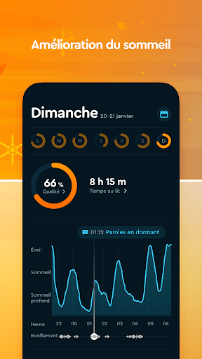 Capture d'écran 2