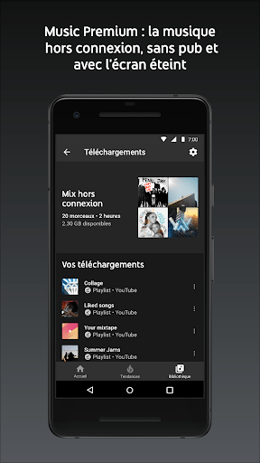 Capture d'écran 4