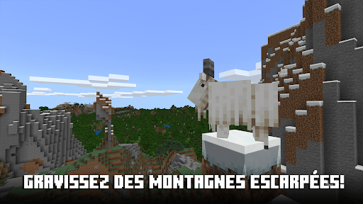 Capture d'écran 6