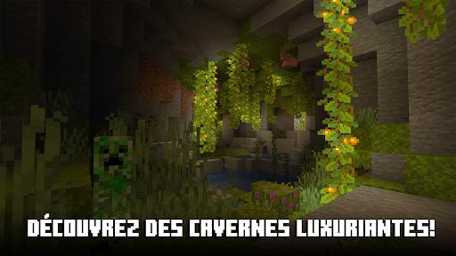 Capture d'écran 5