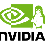 Nvidia : La parade du futur mais quand ?