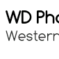 Western Digital lance une application pour visualiser ses photos