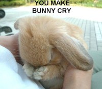 787035you_make_bunny_cry