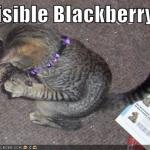La solution Blackberry Fusion est mûre