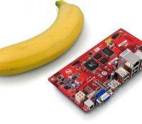1235629-apc-banana,bWF4LTUyMHgyOTE=