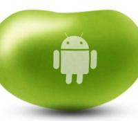 android-4-1-1-google-libere-jelly-bean