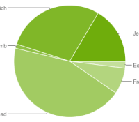 chart-répartition-des-versions-février-february-2013-android-google-01