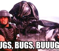 meme-bugs-1