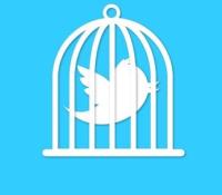 twitter cage
