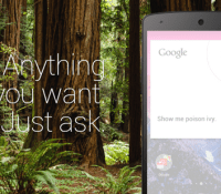 android nova launcher 3.0 ok google image 0