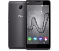 wiko-robby