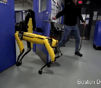 Boston Dynamis Spot Mini