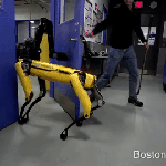 Têtu, résistant et intelligent : ce robot résiste aux assauts d’un adversaire humain