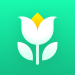 Plant Parent – Guide entretien