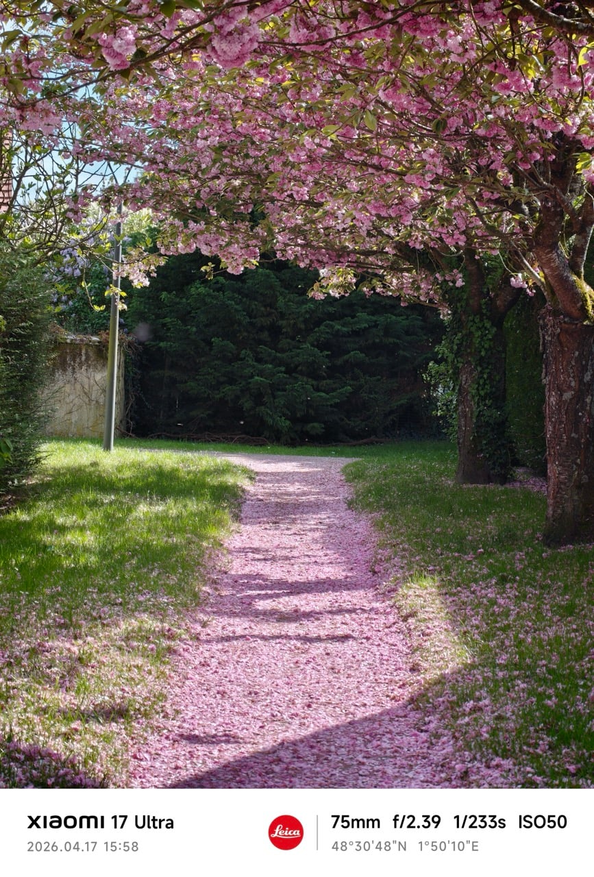 xiaomi 15 – Grande