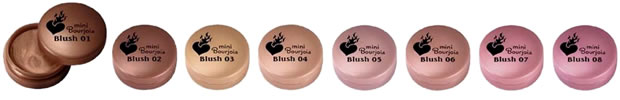 mini blush bourjois