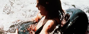 blog-horreur-piranha-3d-le-retour-du-trailer blog-horreur-piranha-3d-le-retour-du-trailer