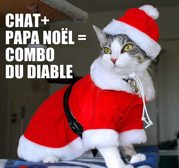 chat-papa-noel
