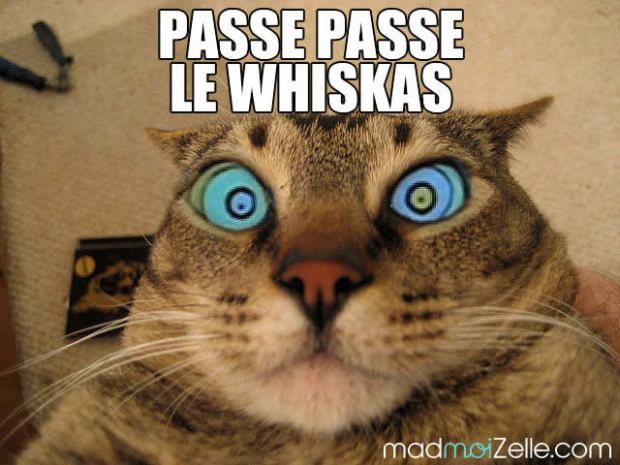 passe-passe-le-whiskas