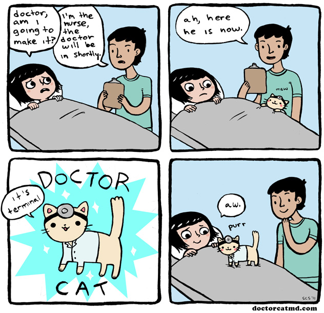 2011-01-10-doctor-cat