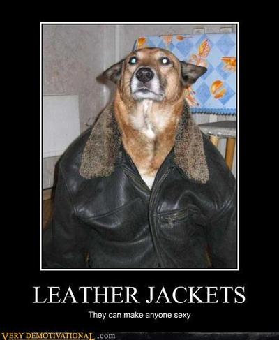 dogleatherjacket