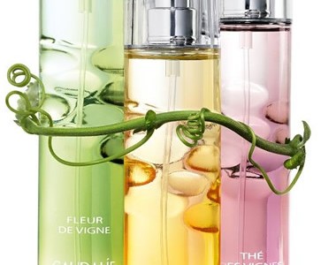 caudalie caudalie