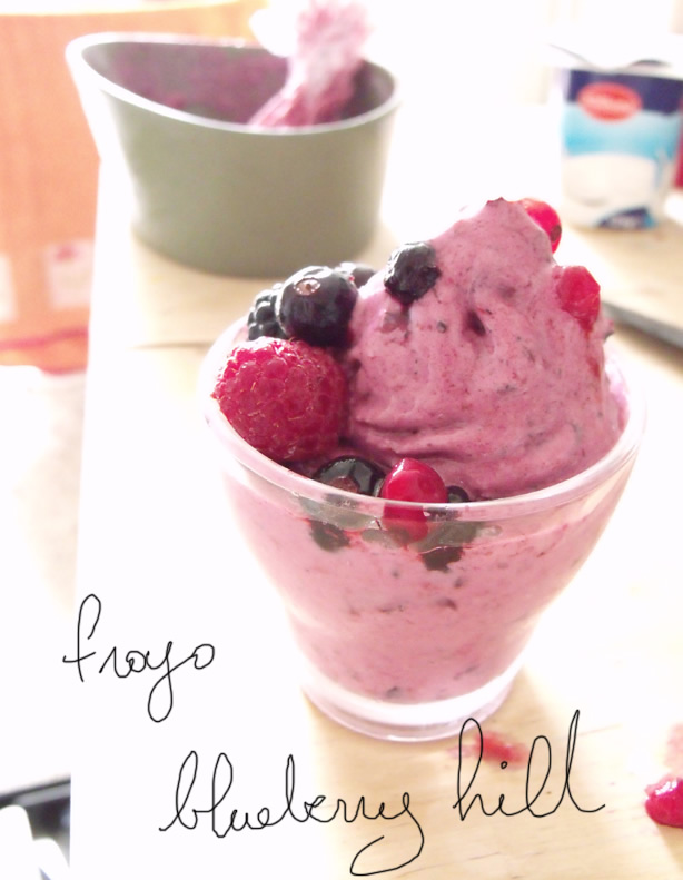 Recette Le Frozen Yogurt