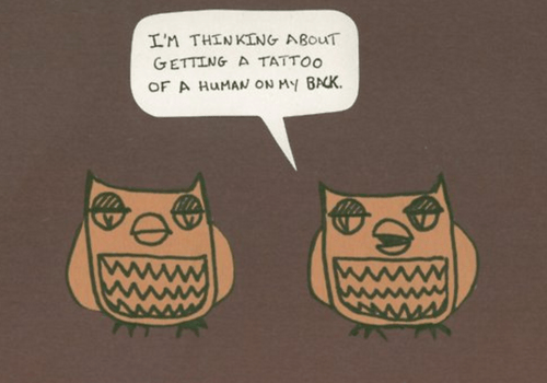 owl