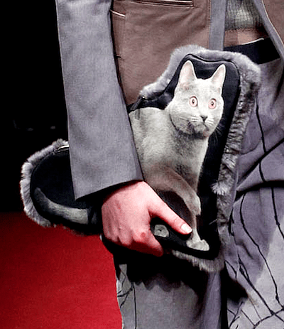 undercover catwalk catbag
