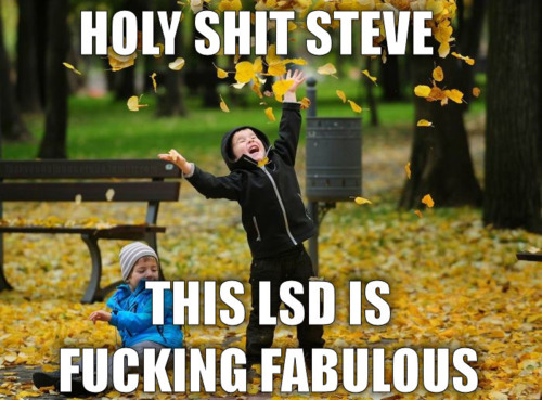 holylsd holylsd