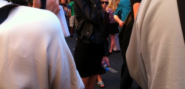 IMG_3206 IMG_3206