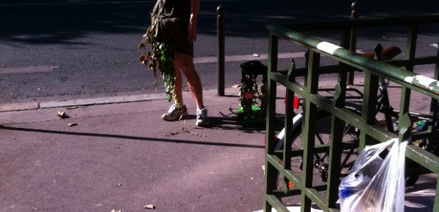 IMG_3226 IMG_3226