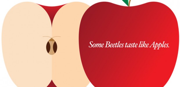 beetle beetle