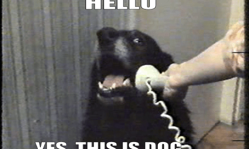 hello hello