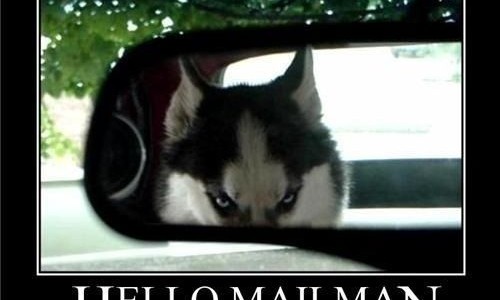 hellomailman Salut le postier. Tu te souviens de moi ?