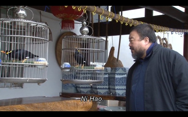 Ai Weiwei est peut-être un dissident au régime, mais ça ne l'empêche pas d'être poli. Même avec les oiseaux.