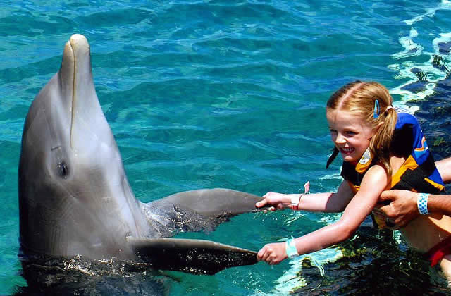 Le Dauphin rose, un être malfaisant et pervers ?