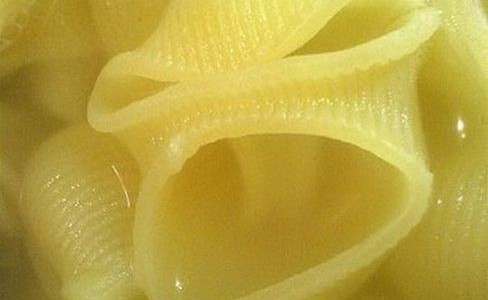 noodle PÂTE EN COLERE DEMANDE UNE EXPLICATION