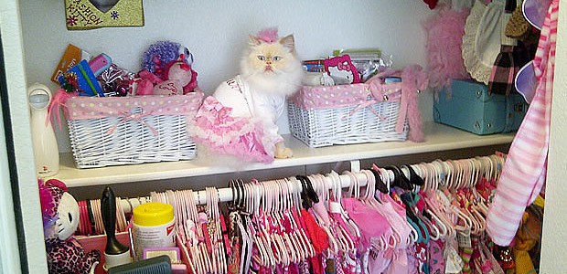 dressingluna dressingluna