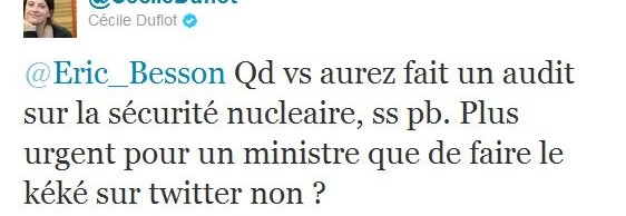 duflot-besson-twitter duflot-besson-twitter