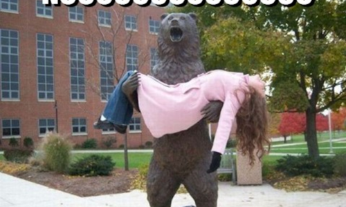 nooo nooo