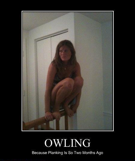 owling