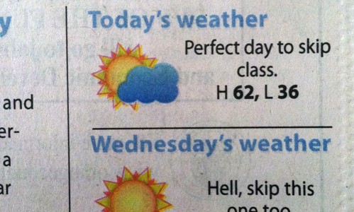 weather Journée parfaite pour sécher les cours - La vache, séchez-ceux là aussi.