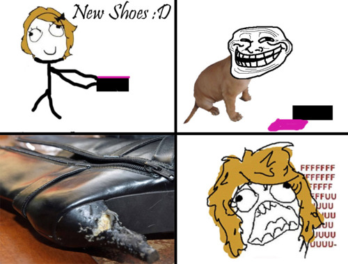 newshoes