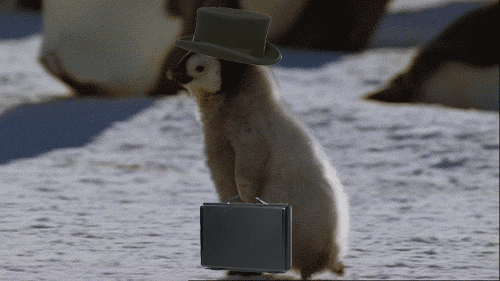 tumblr_ly2gxad5pC1qjzlefo1_500 tumblr_ly2gxad5pC1qjzlefo1_500