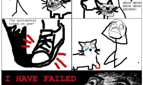 cat cat