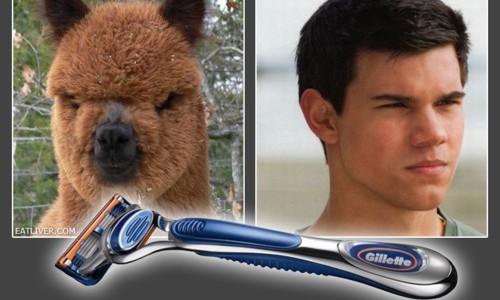 tayloravantapres AVANT / APRES - GILLETTE FUSION